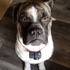 Meet your Posher, Diane